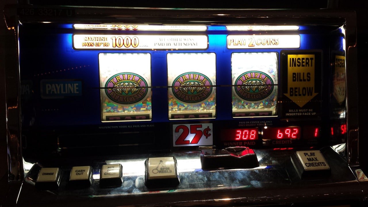 955bet paga